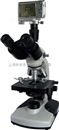 BM-11S数码筒易偏光显微镜,彼爱姆数码显微镜价格
