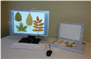 WinFOLIA多用途植物叶片分析仪
