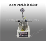 SLM250催化氢化反应器