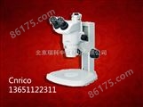 体视显微镜 尼康高级体视显微镜 SMZ1000