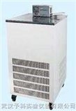DL-1015低温恒温循环泵