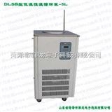 DLSB-5L低温恒温循环泵DLSB-5L