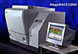 MegaBACE 1000测序仪,配件,激光管,DNA分析系统,毛细管电泳仪,二手测序仪